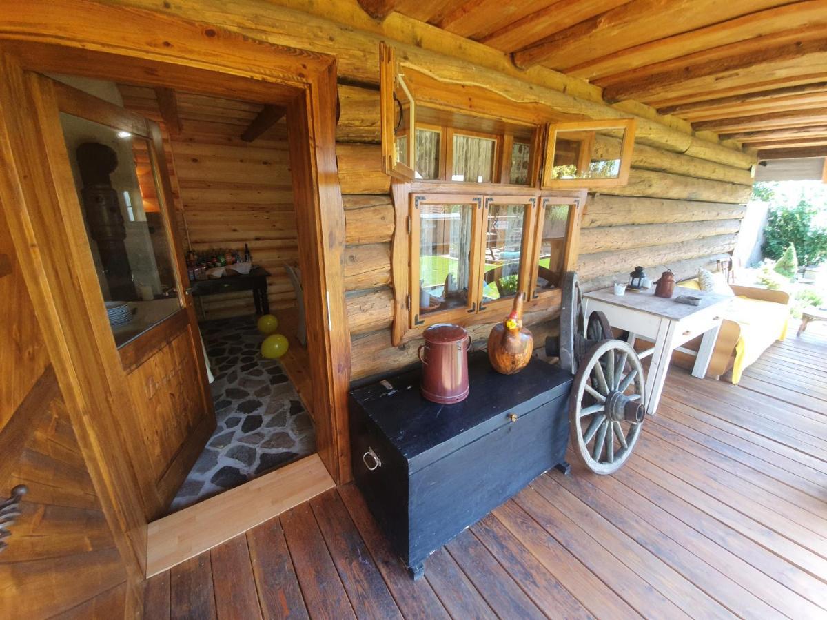 Agropenzion 7Divov Dolna Krupa 外观 照片
